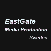 Теле, фото, радио репортажи в Швеции, Скандинавии